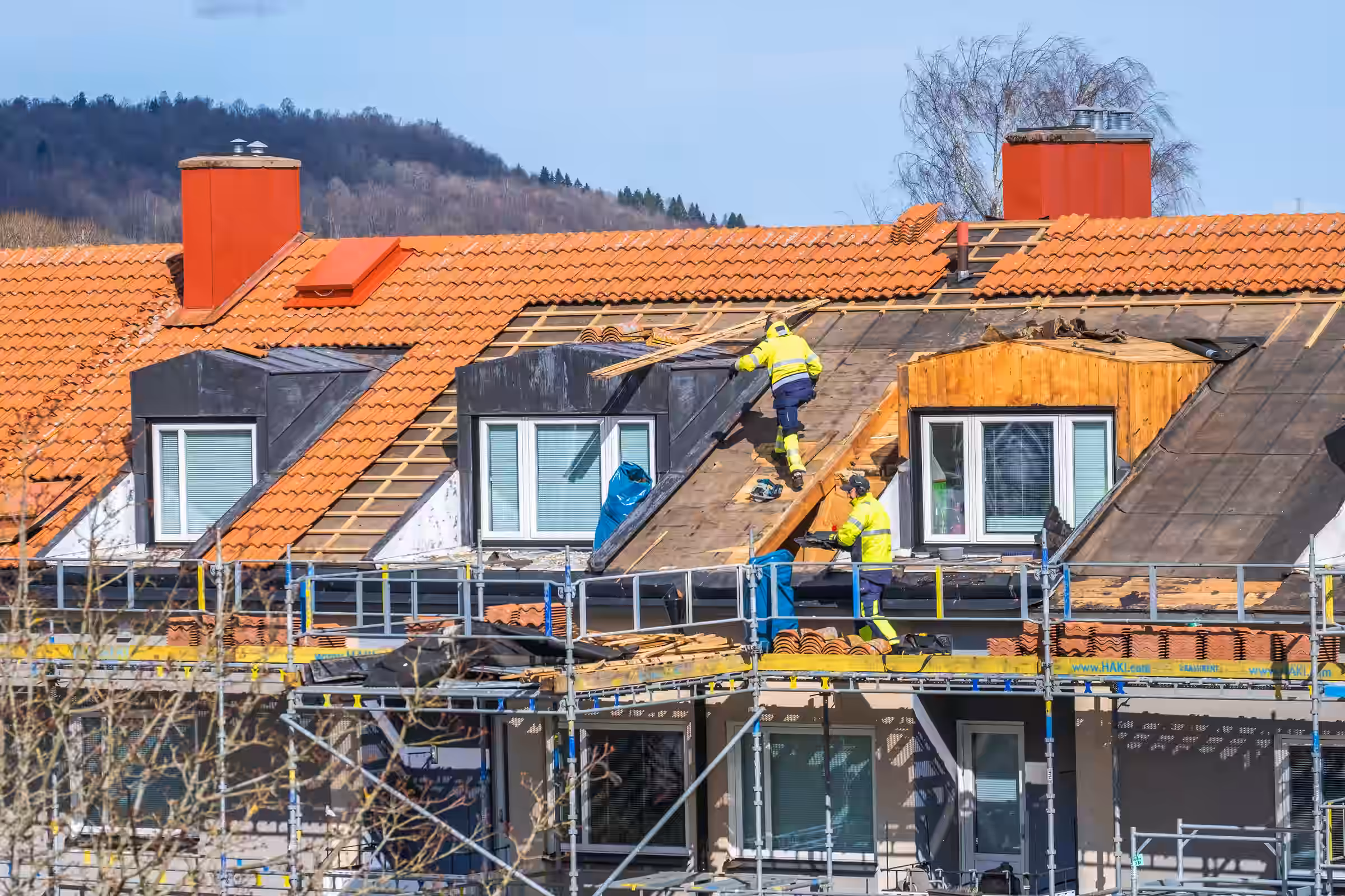 spécialistes du bois - Construction Peugeot Outils Professionnels
